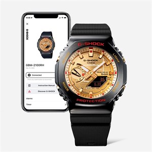 gbm-2100rh-1adr-5.jpg
