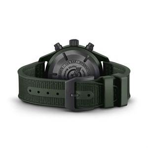 iw389106-4.jpg