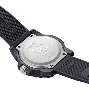 xs.3503.nsf-3.jpg