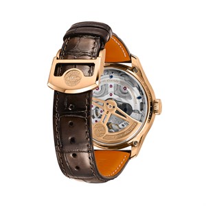 iw503701-4.jpg