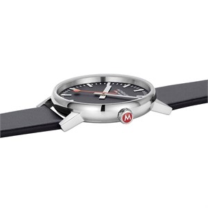 mse.43120.lb-3.jpg