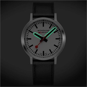mst.4101b.lbv.2se-2.jpg
