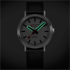 mst.4161b.lbv-2.jpg