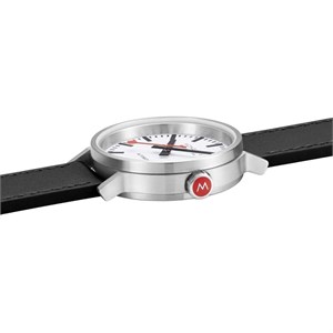 mst.4161b.lbv-3.jpg