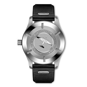 iw328207-2.jpg