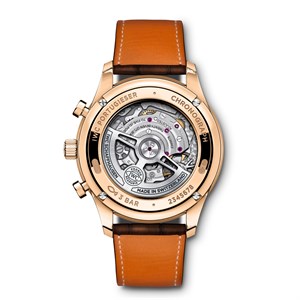 iw371611-2.jpg