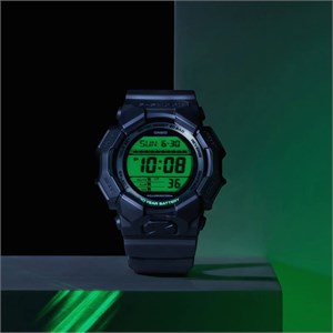 gd-010beg-1dr-4.jpg