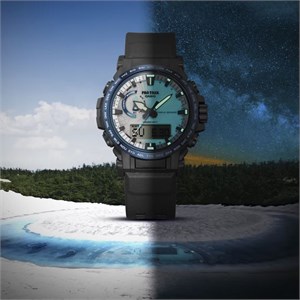 prw-61d-2dr-4.jpg